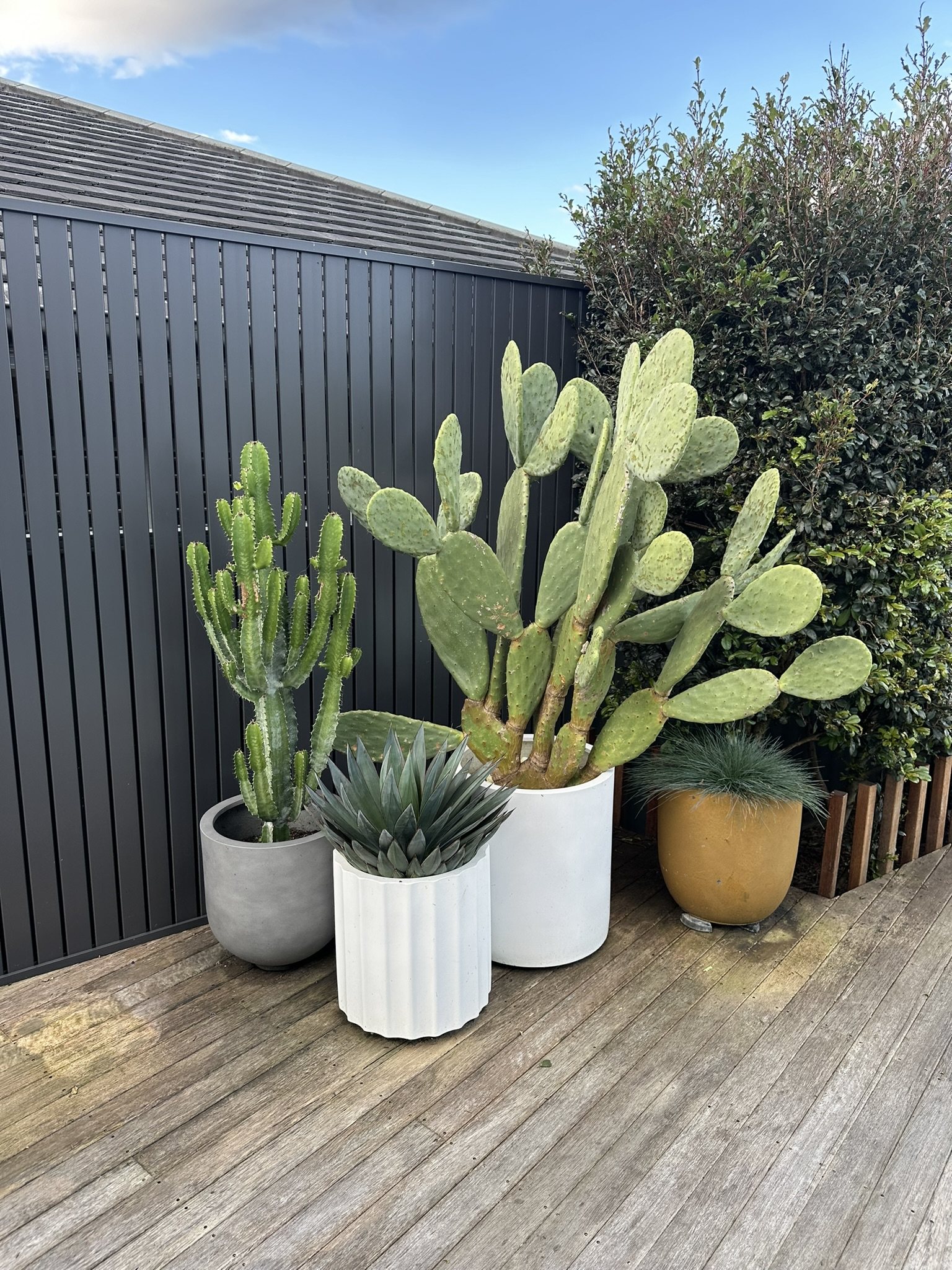 Hamlyn Terrace