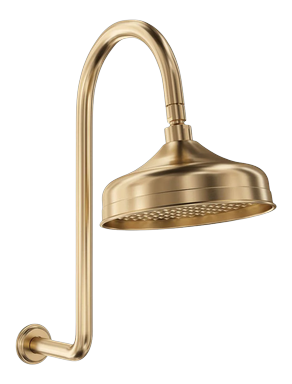 Brass shower head